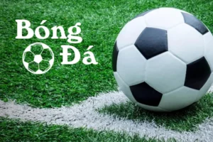 Phân Biệt Trạng Thái Bóng Trong Cuộc Và Bóng Ngoài Cuộc Chính Xác