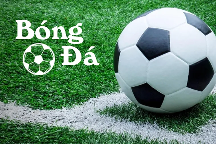 Phân Biệt Trạng Thái Bóng Trong Cuộc Và Bóng Ngoài Cuộc Chính Xác
