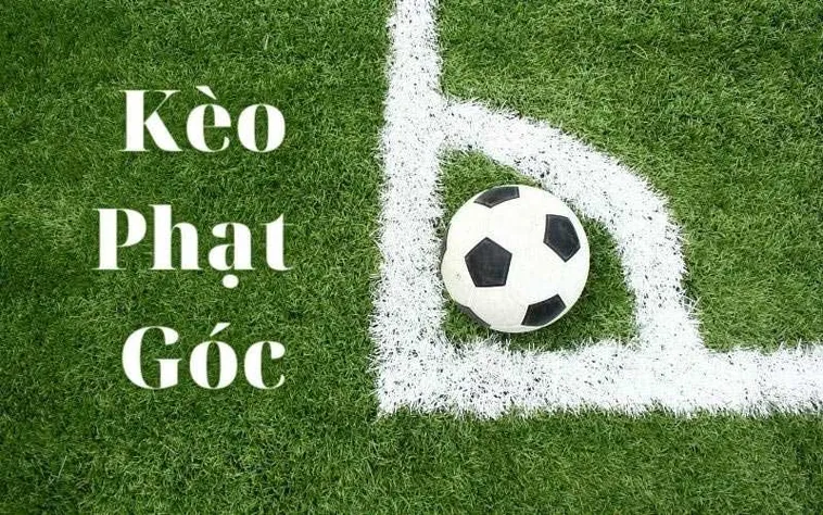 Những Lưu Ý Quan Trọng Về Cách Chơi Kèo Phạt Góc Bóng Đá Đỉnh Cao