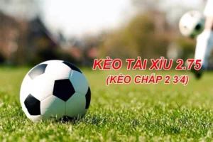Hướng Dẫn Cách Chơi Kèo 2.75 Luôn Thắng Trong Mọi Trận Đấu