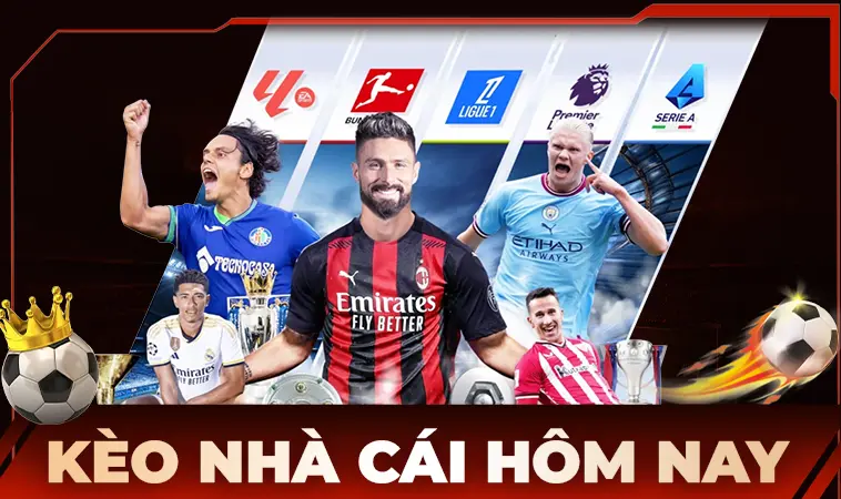 Các thử nghiệm thực tế trên nhiều thiết bị khác nhau từ máy tính để bàn đến điện thoại di động đều cho thấy sự đồng nhất đáng kinh ngạc về tốc độ hiển thị.