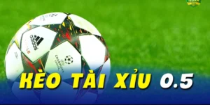 Bí Quyết Cách Chơi Kèo Tài Xỉu Đạt Tỷ Lệ Thắng Cao Nhất