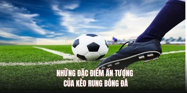 Bí Quyết Chiến Thắng Với Cách Chơi Kèo Rung Trong Bóng Đá Đỉnh Cao